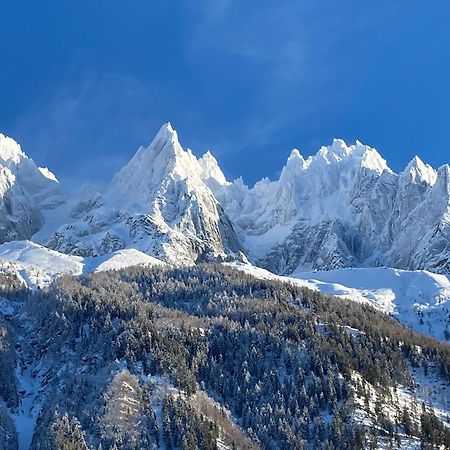 Chamonix Superbe Appartement Vue Mont Blanc Luaran gambar